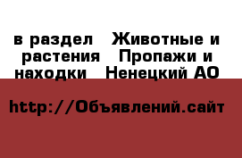  в раздел : Животные и растения » Пропажи и находки . Ненецкий АО